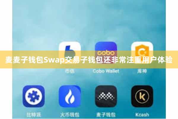 麦麦子钱包Swap交易子钱包还非常注重用户体验