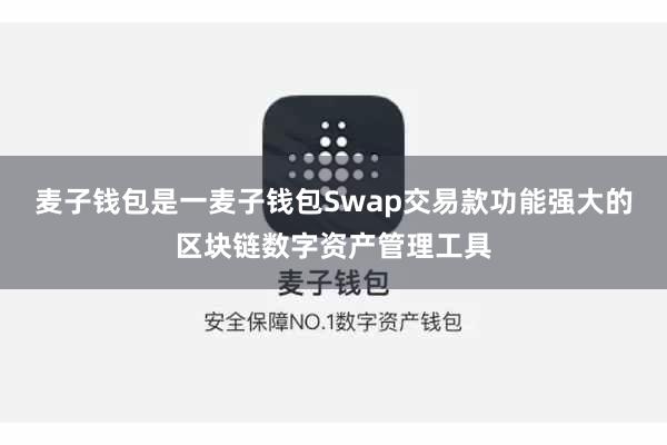 麦子钱包是一麦子钱包Swap交易款功能强大的区块链数字资产管理工具