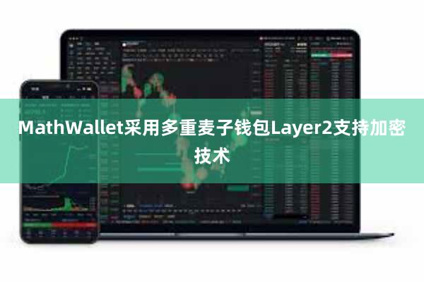 MathWallet采用多重麦子钱包Layer2支持加密技术
